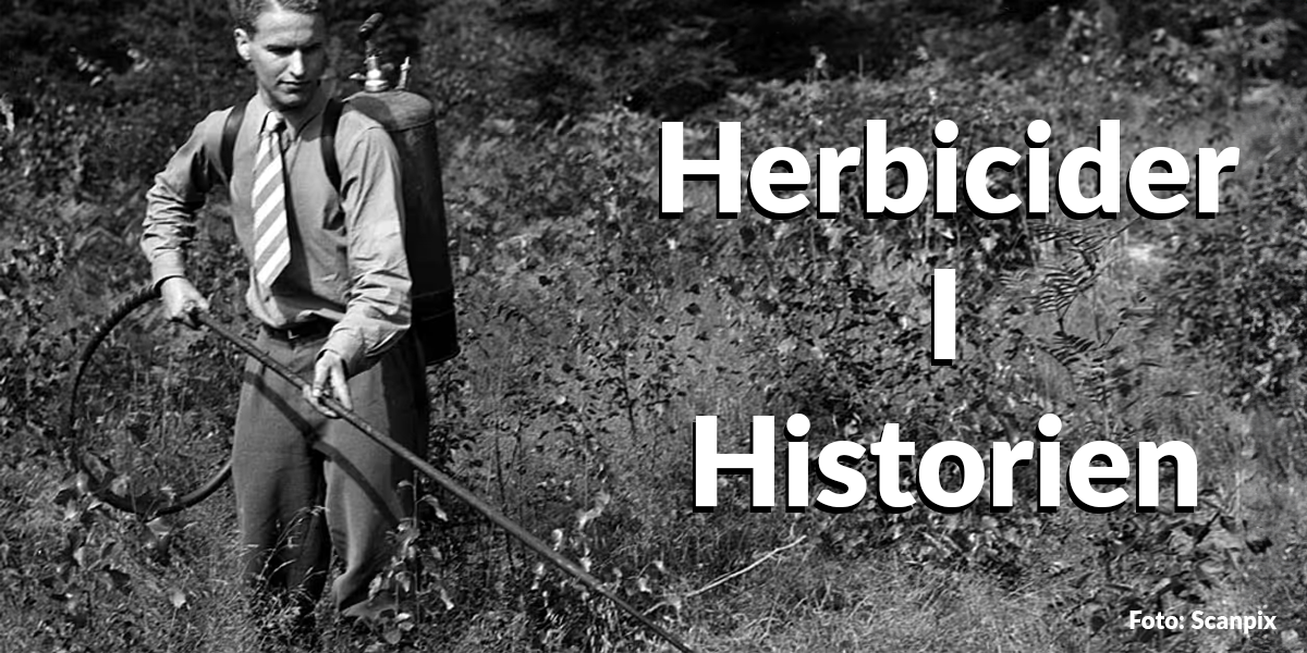 Läs mer om artikeln Herbicider i historien