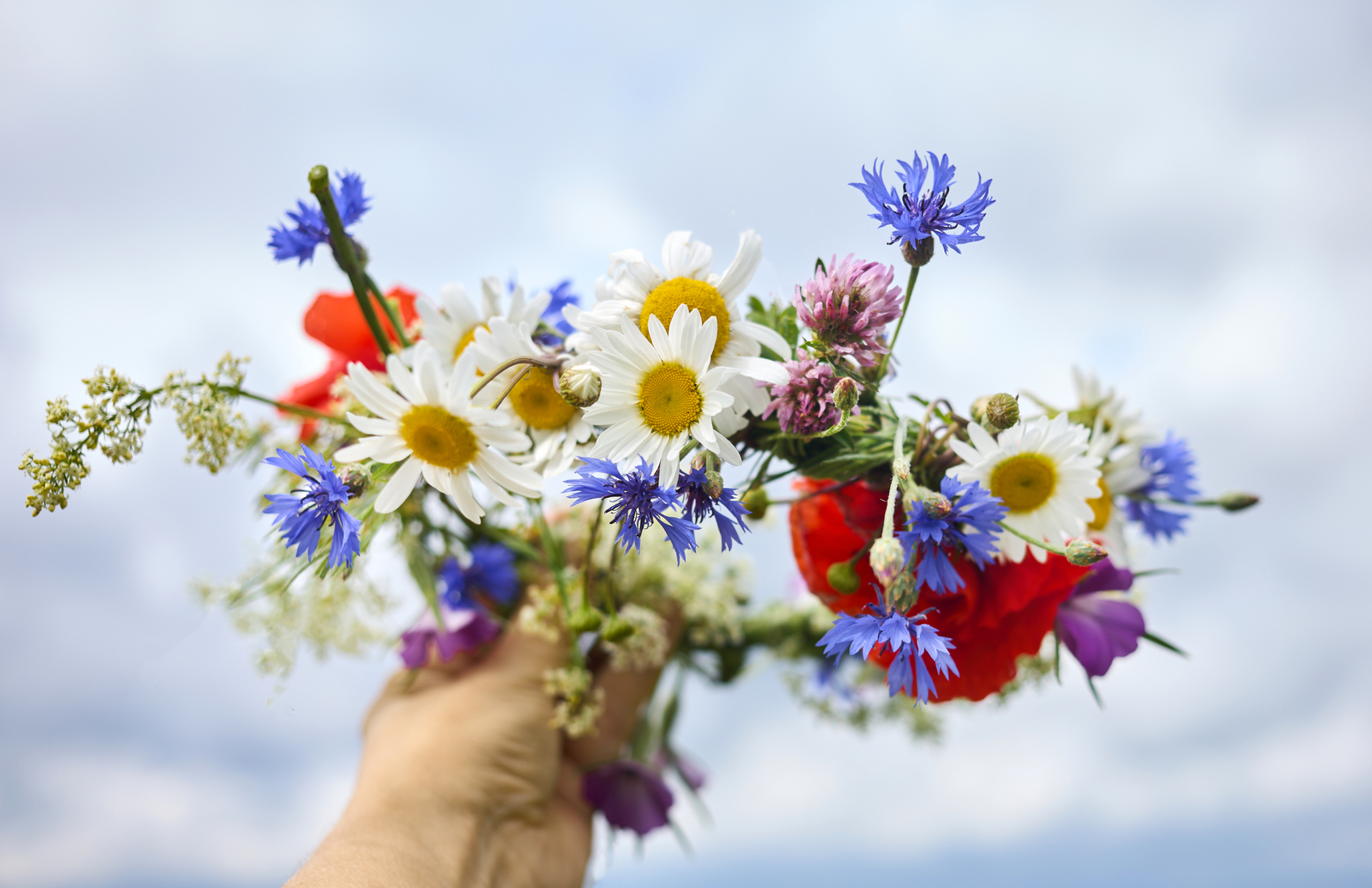 Läs mer om artikeln Glad midsommar önskar vi på cDoc!